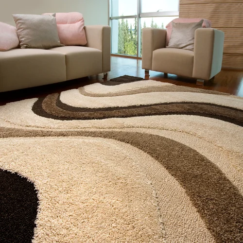 Nice living room rug and furniture